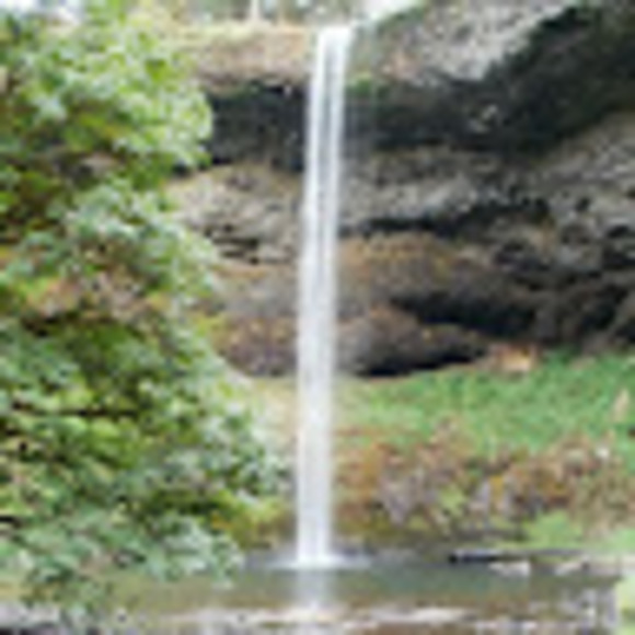 Meet your Posher, Amy - Picture 1 of 1